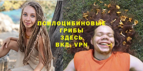 твердый Алексеевка