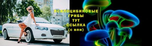 твердый Алексеевка