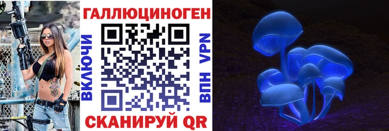 Галлюциногенные грибы мухоморы цена hydra зеркало Краснознаменск