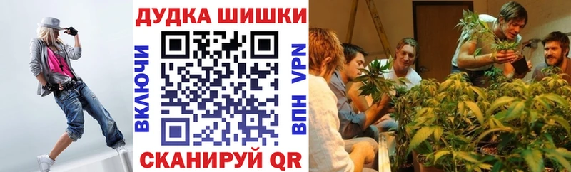 купить наркотик  Краснознаменск  Бошки марихуана план 